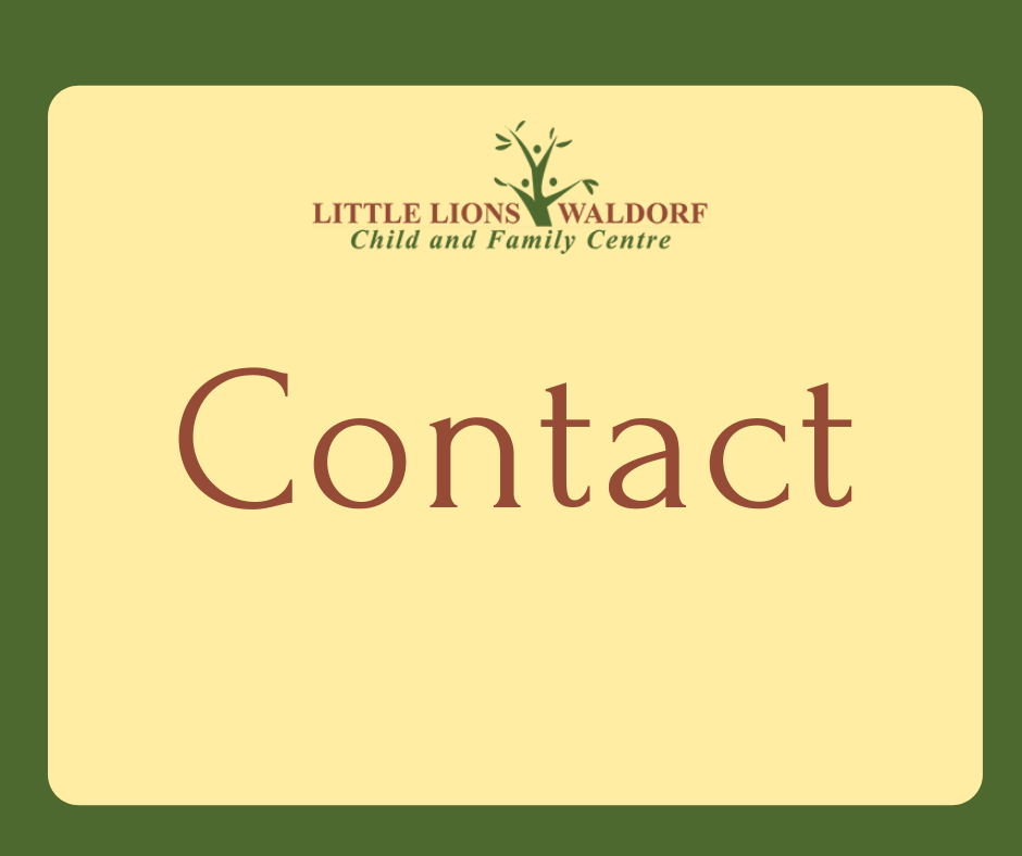 Contact Little Lions