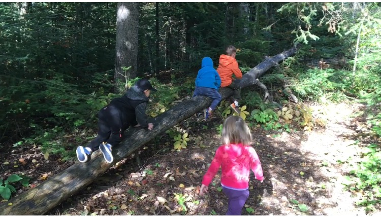 kids playing outsize on a fallen tree