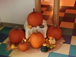 enchanted garden pumpkins