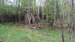 imagination building forts in the forest