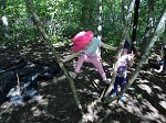 outdoors play with preschool little lions