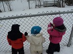 toddlers playing in the yard in winter